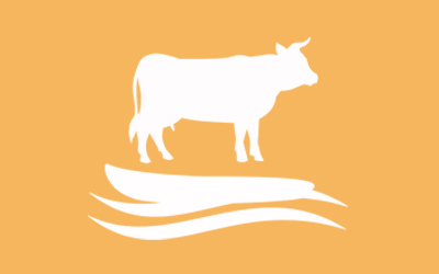 �����Bֳ�Uˮ̎��